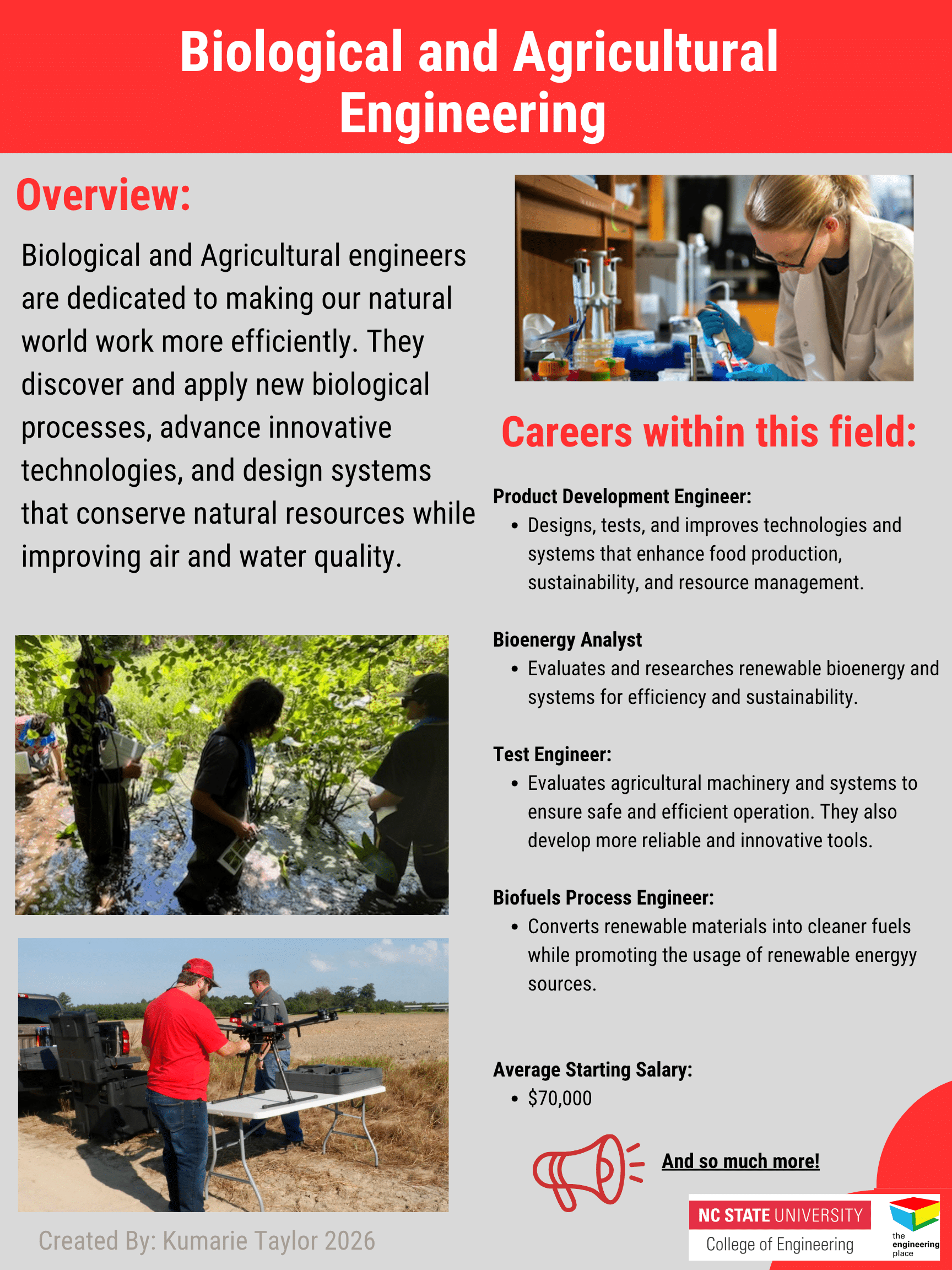 BAE Poster with overview and careers within the field.