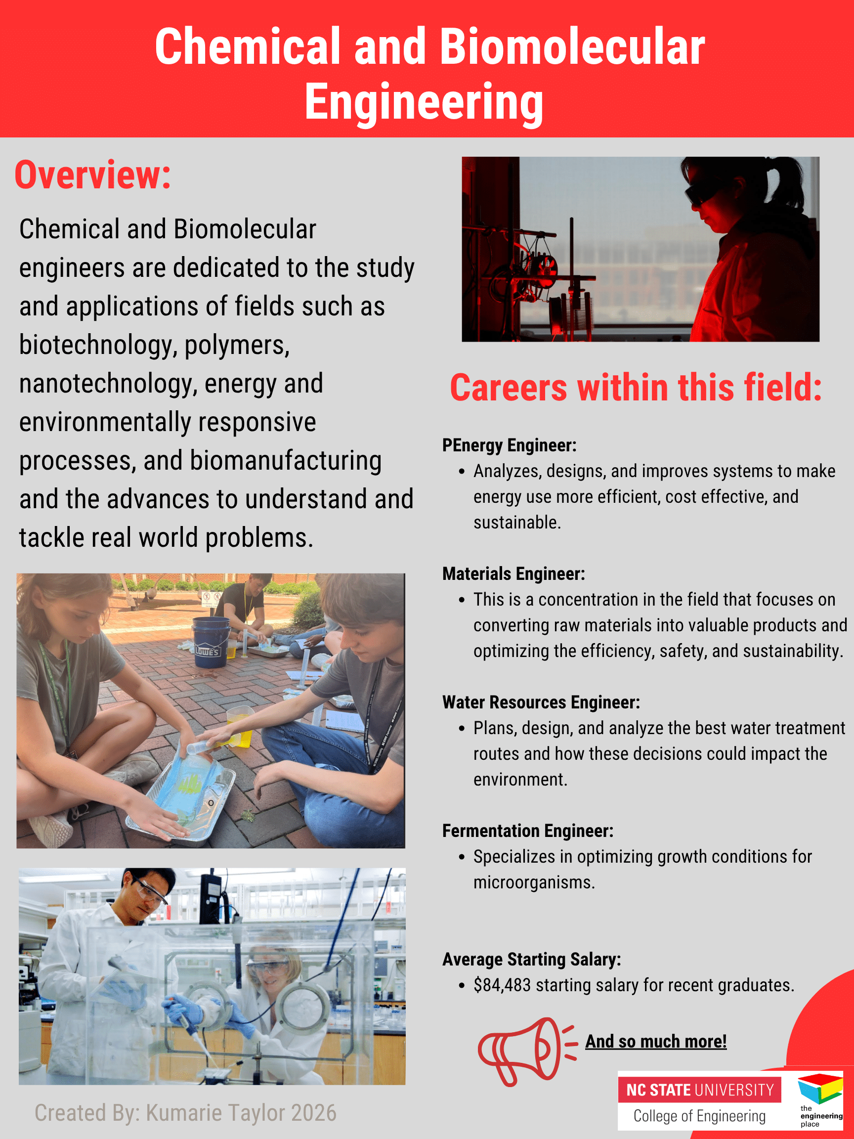 CAE Poster with overview and careers within the field.